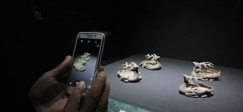 QQ图片20160301101351 QQ图片20160301101351