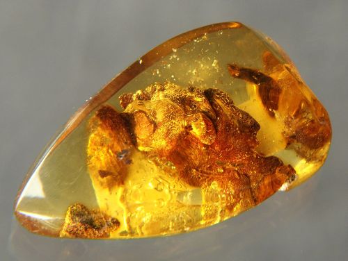 46034071_2 46034071_2