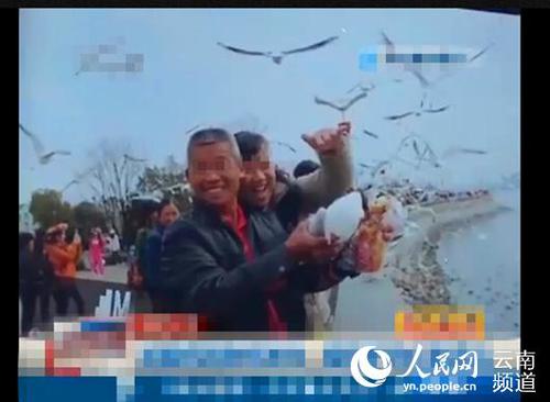 201603032047495fbd3 201603032047495fbd3