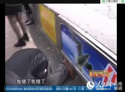 20160303204753b8a45_550 20160303204753b8a45_550