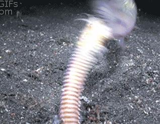 360截图20160304165539382