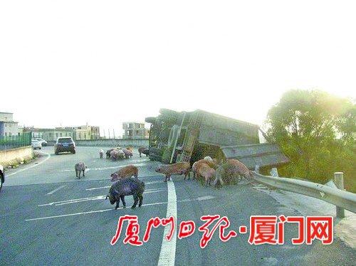 20160304173628d65d5 20160304173628d65d5