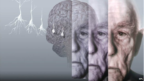 U588P4T8D6459545F107DT20140805101216 U588P4T8D6459545F107DT20140805101216