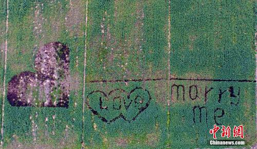 W020160305551162052721