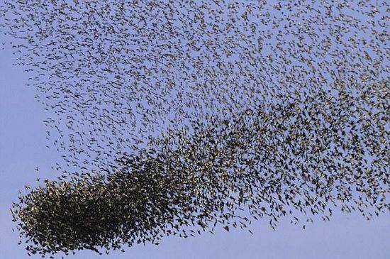 87178314126CFD9F48D22EDAA69B7755 87178314126CFD9F48D22EDAA69B7755