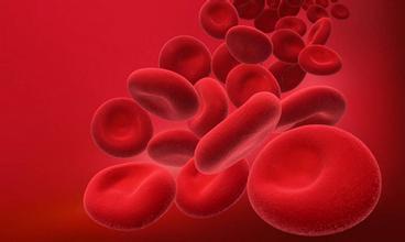 u=1653153535,3718665974&fm=21&gp=0 u=1653153535,3718665974&fm=21&gp=0