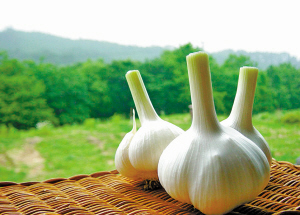 544d0cffbb4e6af42138828bb3a038ce24414 544d0cffbb4e6af42138828bb3a038ce24414