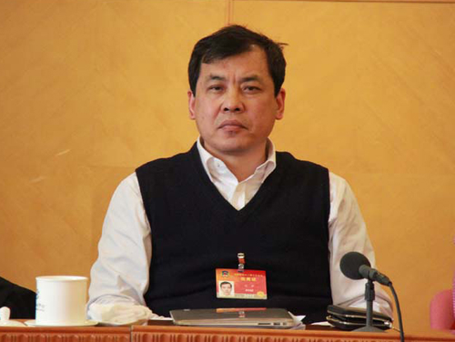 全国政协委员、河北省林业厅副厅长沈瑾 图片来源于网络