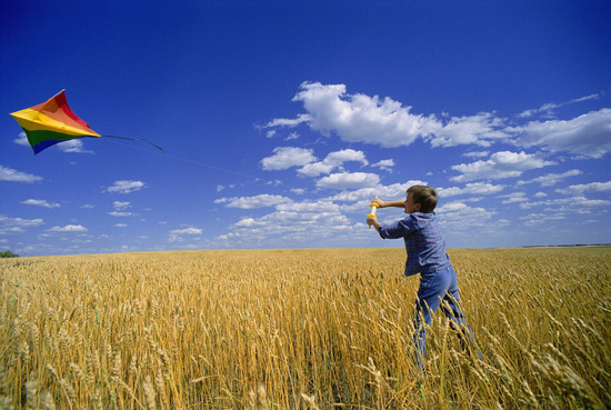 撞风筝线险被割喉 放风筝危险吗?