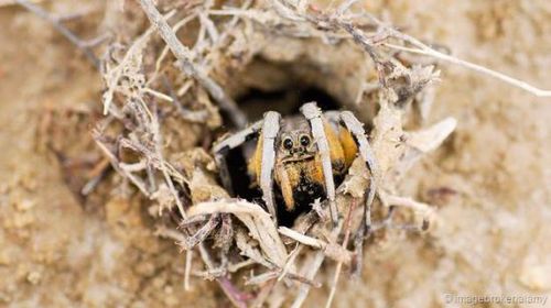 U10895P693DT20150702145900 U10895P693DT20150702145900