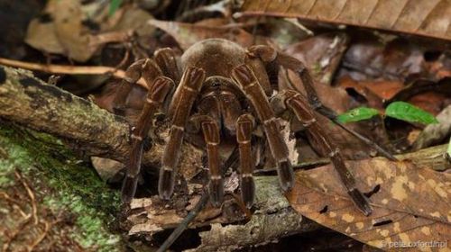 U10895P693DT20150702145906 U10895P693DT20150702145906