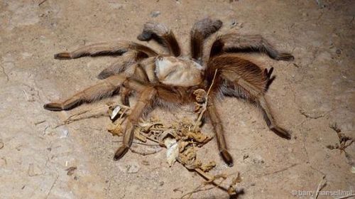 U10895P693DT20150702145908 U10895P693DT20150702145908