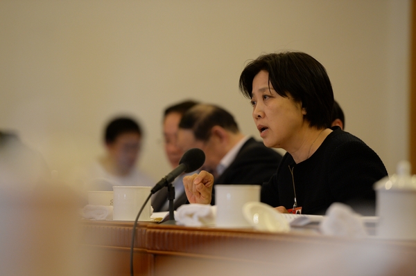 教育界孙惠玲委员在小组会上发言