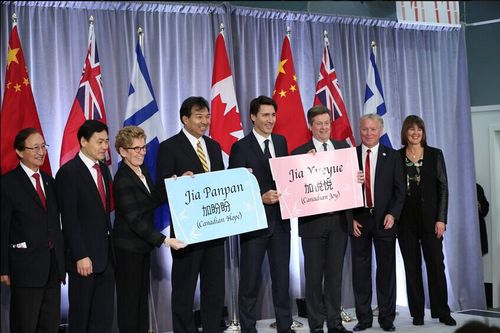 128781549_14573942417901n 128781549_14573942417901n