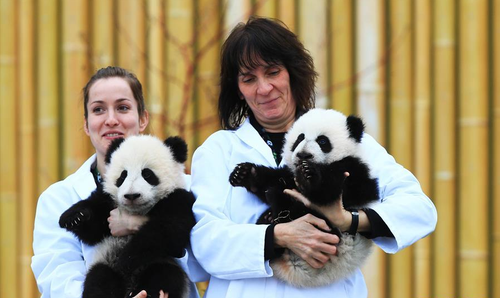 QQ图片20160308145846 QQ图片20160308145846