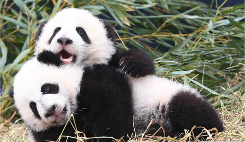 QQ图片20160308145909 QQ图片20160308145909