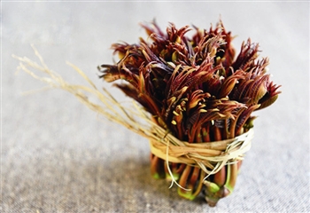 83001395251780984 83001395251780984