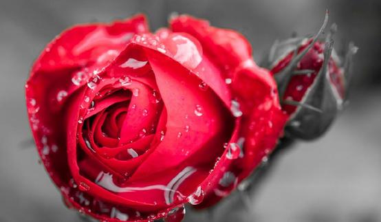 1457398875746 1457398875746