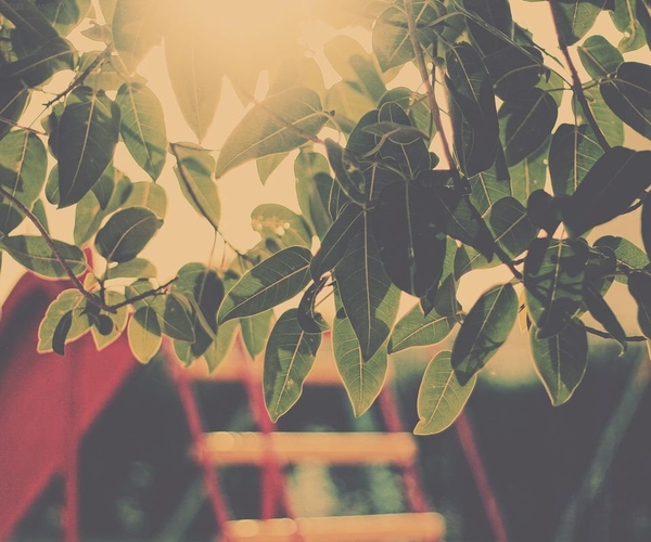 f83e0fcdc4276ea08ee094b642b8b8ad f83e0fcdc4276ea08ee094b642b8b8ad