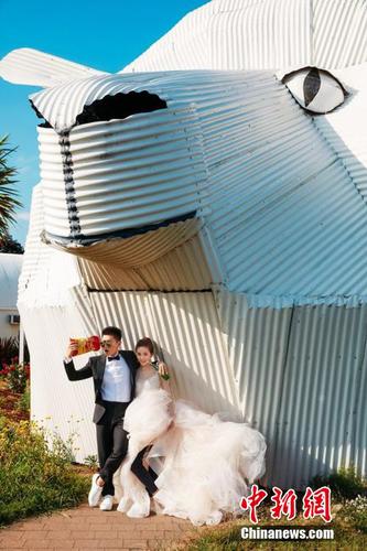 吴奇隆刘诗诗婚纱照首曝光 美轮美奂