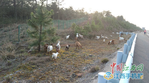 1727BF5964845BDD0AB115C872BC2626 1727BF5964845BDD0AB115C872BC2626