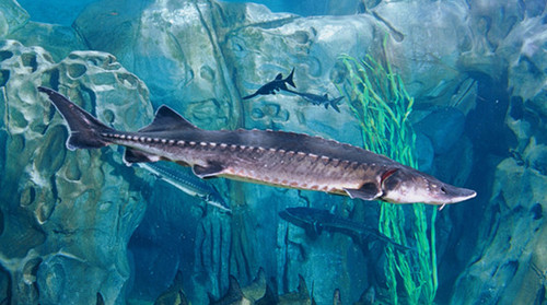 80840946ga5d34f75cdd5&690 80840946ga5d34f75cdd5&690