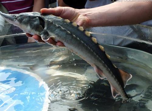 360截图20160309224512338 360截图20160309224512338