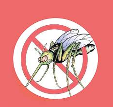 综述:寨卡病毒的新发现值得警惕