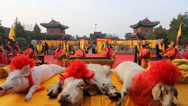 QQ图片20160310173346 QQ图片20160310173346