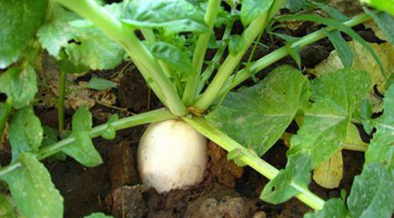 MAIN201603111113302189878867925 MAIN201603111113302189878867925