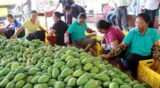 MAIN201603111118401143708267330 MAIN201603111118401143708267330