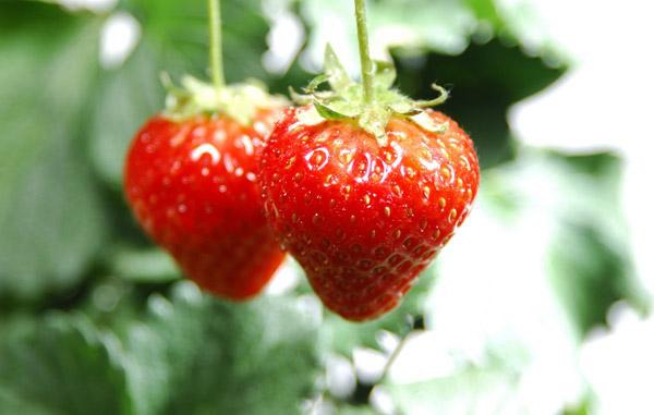 20131225171225833 20131225171225833