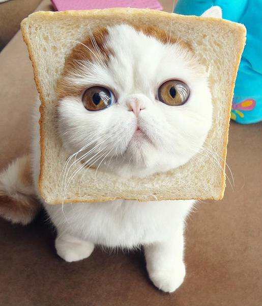 d067e523e2ec13dd9dcd38 d067e523e2ec13dd9dcd38