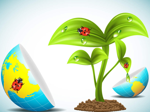 635930320177208888694 635930320177208888694