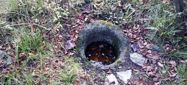 QQ图片20160311173249 QQ图片20160311173249