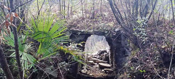 QQ图片20160311173233 QQ图片20160311173233