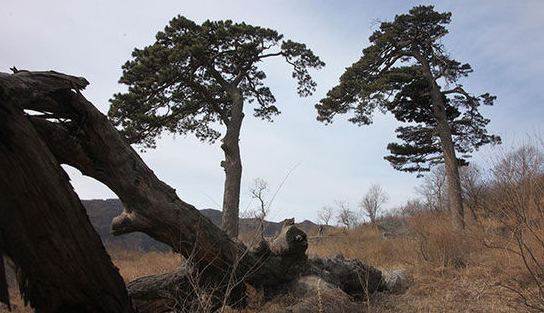 QQ图片20160311175424 QQ图片20160311175424