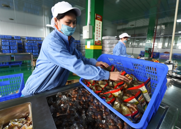 1161392_xxjpsgc000988_20160311_tppfn1a001_600_450 1161392_xxjpsgc000988_20160311_tppfn1a001_600_450