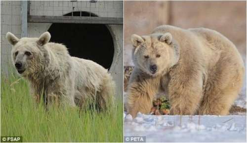 201603111024181042 201603111024181042