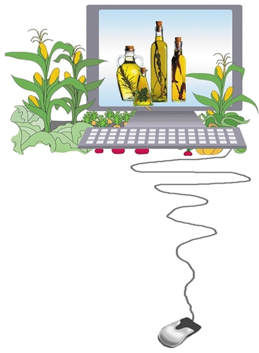 C20160312007-zx14 C20160312007-zx14