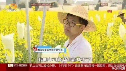 曝大学生实验田油菜花被游客摘 或无法毕业(图)