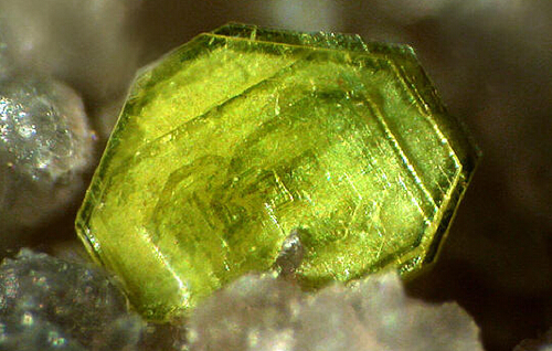 1I9211317-1 1I9211317-1