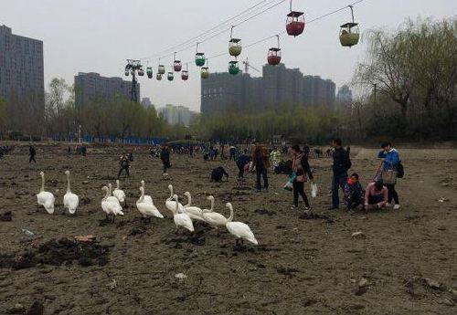 20160313115846d9f46 20160313115846d9f46