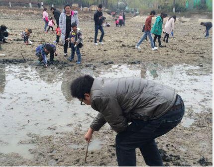 201603131158493e51e 201603131158493e51e