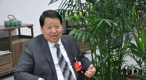 全国人大代表、浙江省奉化市滕头村党委书记傅企平