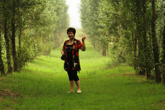 当年的沙漠如今已是绿树成荫。