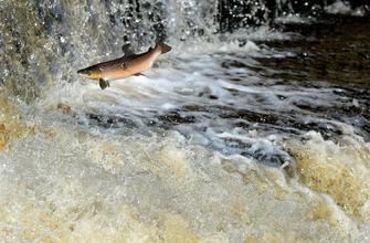 u=2607121636,246526634&fm=21&gp=0 u=2607121636,246526634&fm=21&gp=0