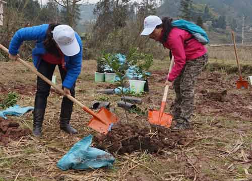 点击图片浏览更多精彩内容 点击图片浏览更多精彩内容