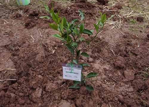 点击图片浏览更多精彩内容 点击图片浏览更多精彩内容