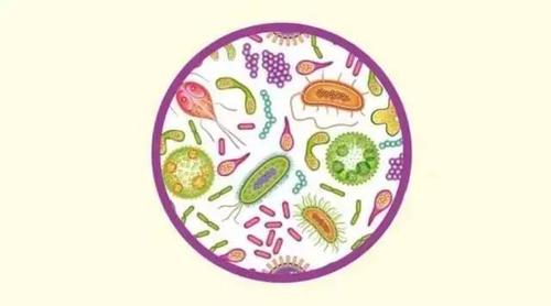 人类输了吗：围棋AI的胜利，也是人的胜利